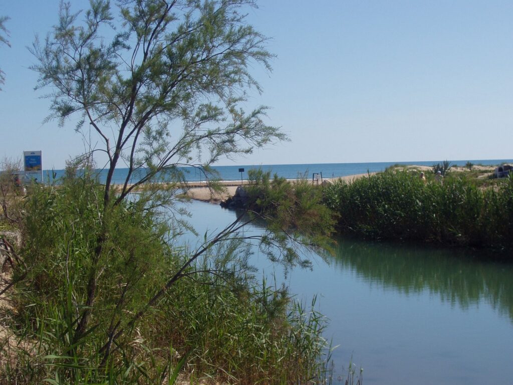 seslblau5