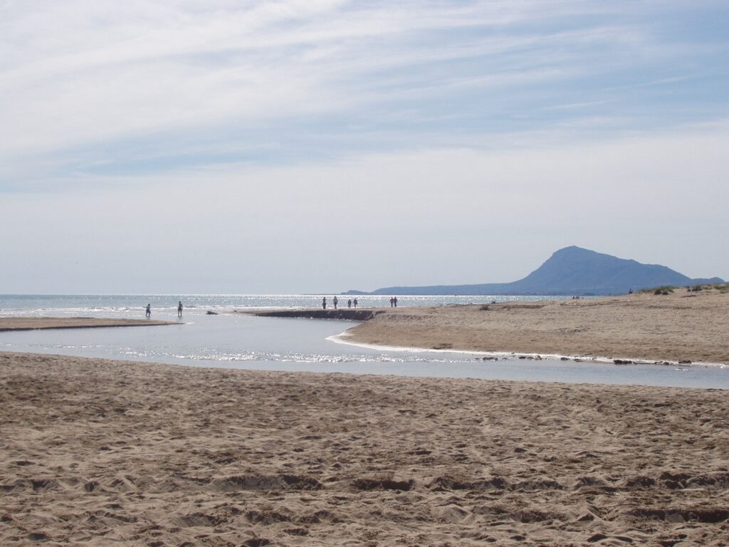 seslblau8