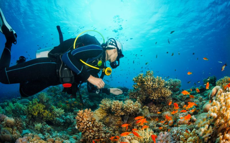 buceo en denia