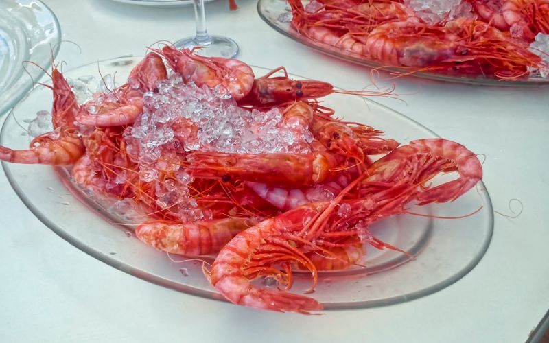 La gamba roja de Denia: un manjar imprescindible en la Marina Alta