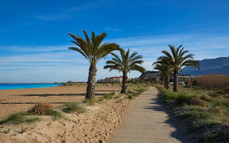 denia sin coche